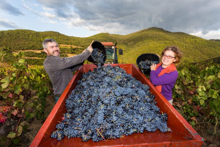 terroir du Languedoc Roussillon Saint Chinian