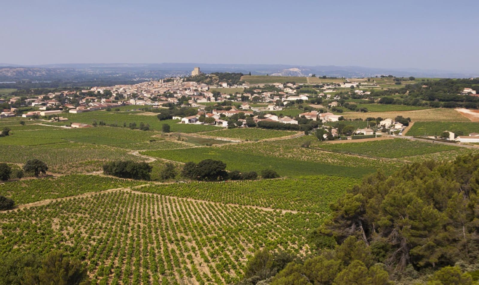 terroir du Languedoc Roussillon Minervois la Livinière
