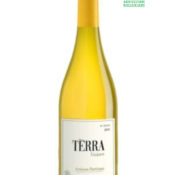 terra blanc pierre borris