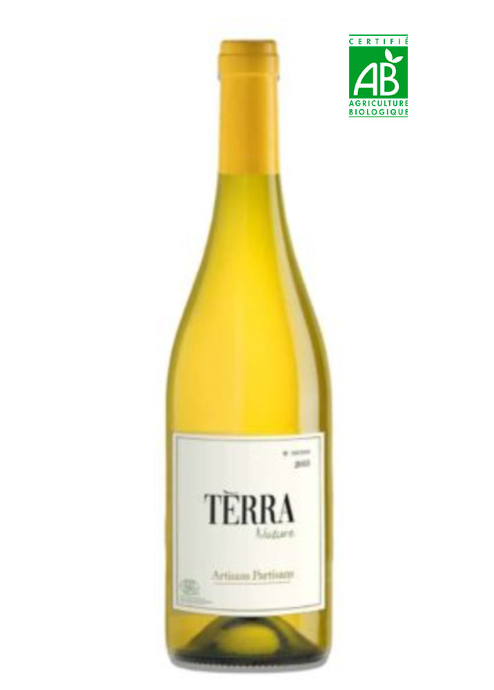 Terra Blanc Pierre Bories - Vin de France